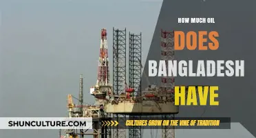 Bangladesh's Oil Reserves: Current Status and Future Prospects Explored
