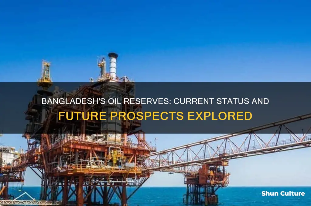 how much oil does bangladesh have