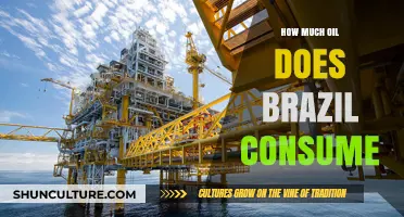 Brazil's Oil Consumption: Understanding the Country's Energy Demands