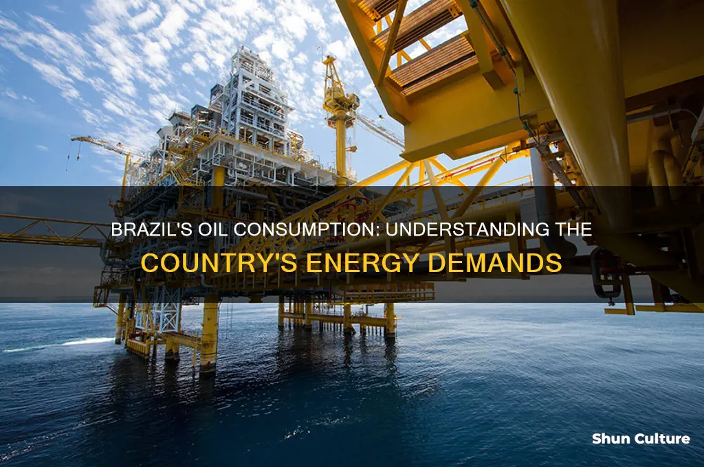 how much oil does brazil consume