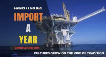 Brazil's Annual Oil Imports: A Comprehensive Analysis and Overview