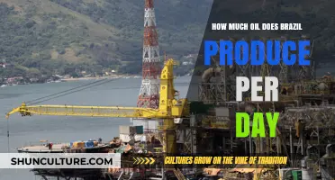 Brazil's Daily Oil Production: Insights and Current Output Levels
