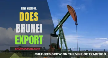 Brunei's Oil Export Economy: How Much Does It Trade?