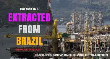 Brazil's Oil Extraction: Unveiling the Nation's Petroleum Production Volume