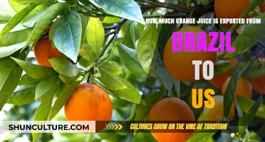 Brazil's Orange Juice Exports to the US: Volume and Trends