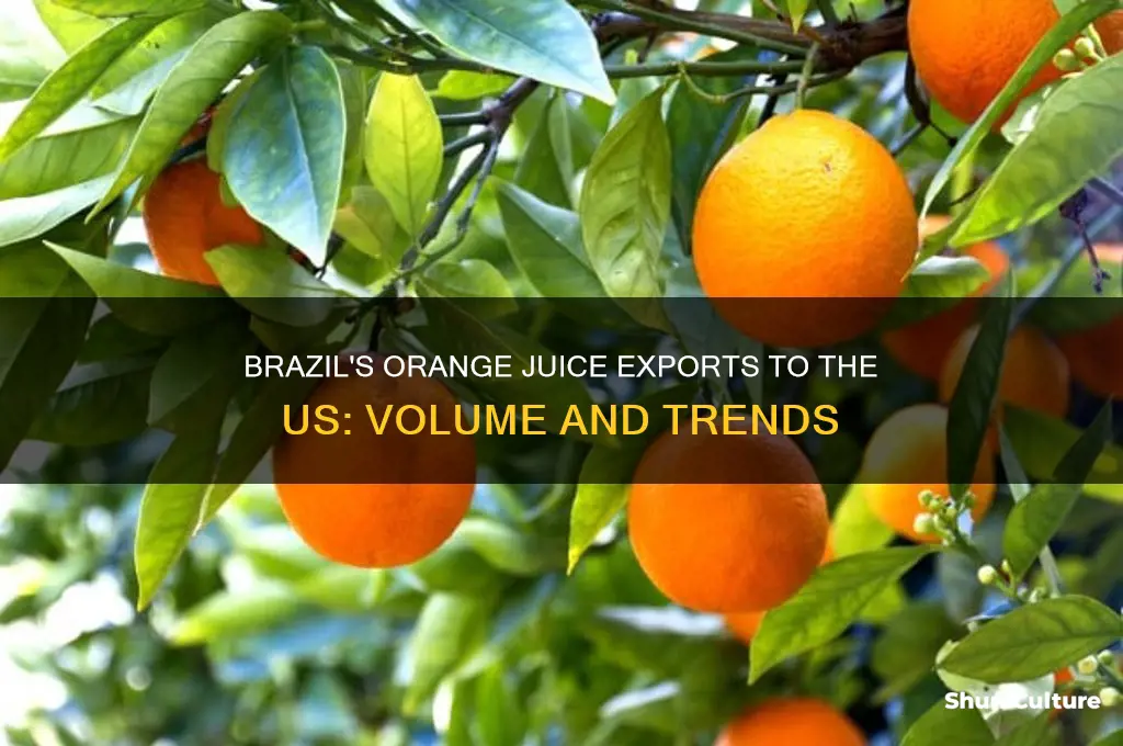 how much orange juice is exported from brazil to us