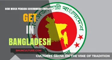 Understanding Bangladesh Government Employees' Pension Benefits and Calculations