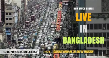Exploring Bangladesh's Population: How Many People Call It Home?