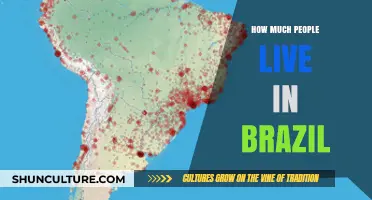 Exploring Brazil's Population: How Many People Call It Home?