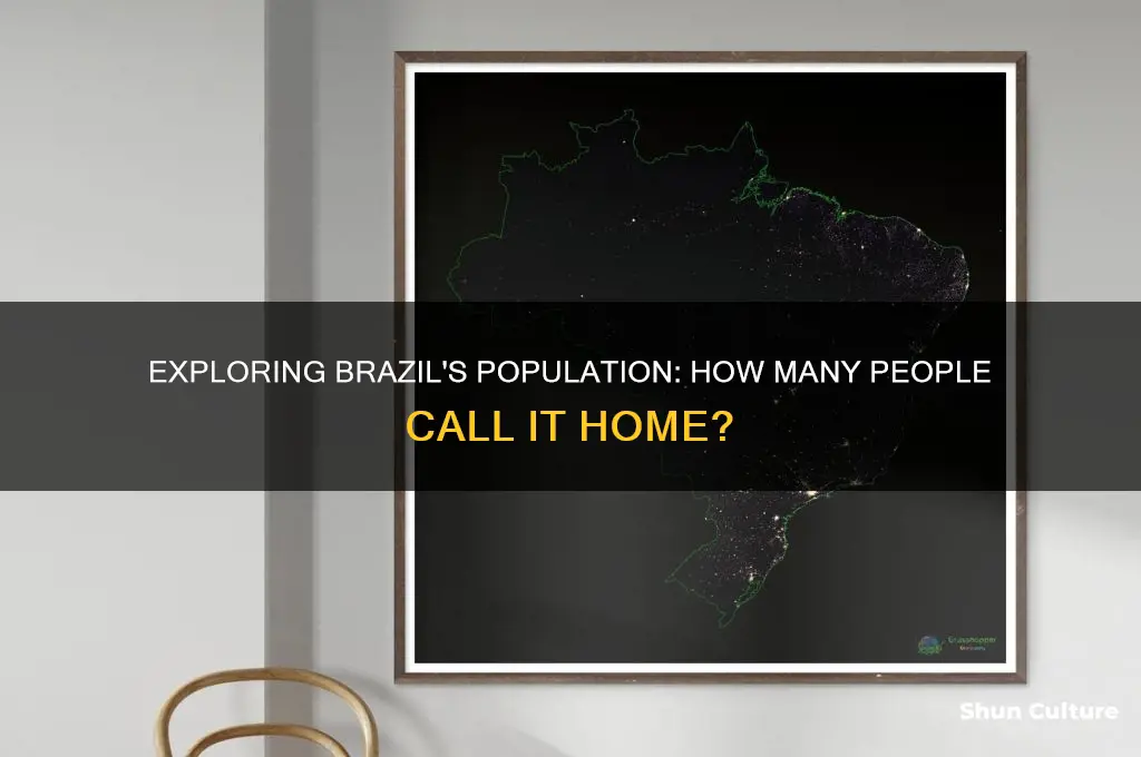 how much people live in brazil