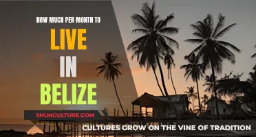 Belize on a Budget: Monthly Expenses for a Tropical Paradise