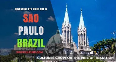Exploring São Paulo: Night Out Costs in Brazil's Vibrant City