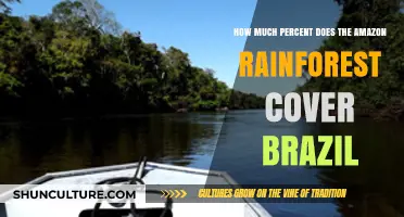 Amazon Rainforest's Coverage in Brazil: Unveiling the Surprising Percentage