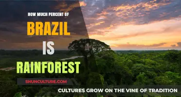 Exploring Brazil's Rainforest Coverage: What Percentage Remains Today?