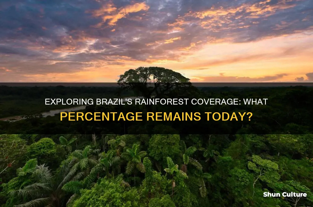 how much percent of brazil is rainforest