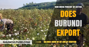 Burundi's Cotton Export: A Significant Contributor to the Global Market