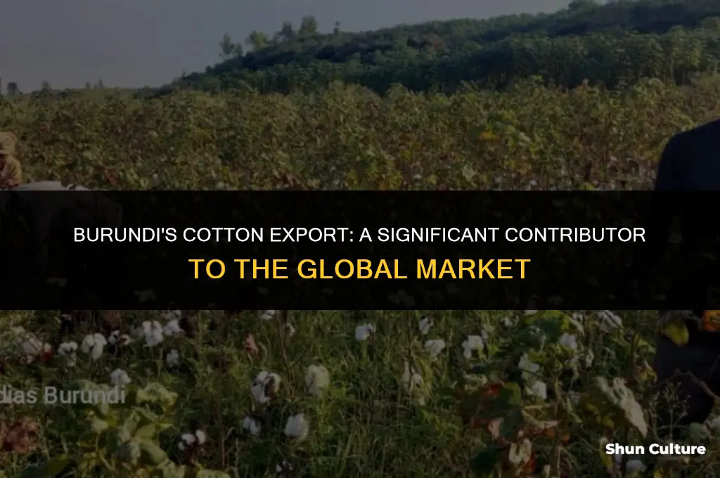 how much percent of xotton does burundi export