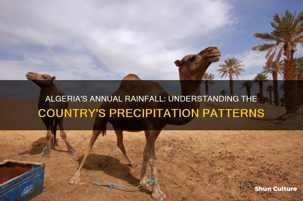 how much percipatation does algeria get each year