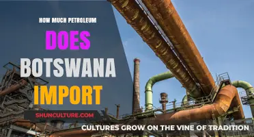 Botswana's Petroleum Dependency: Analyzing Annual Import Volumes and Trends
