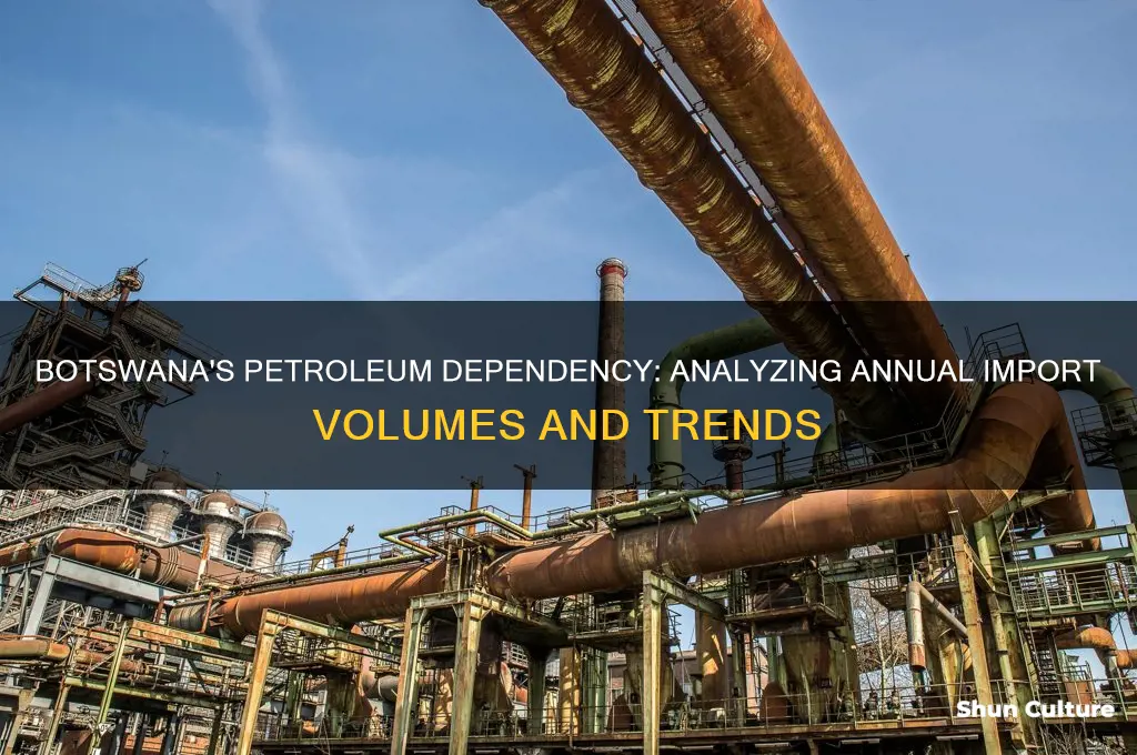how much petroleum does botswana import