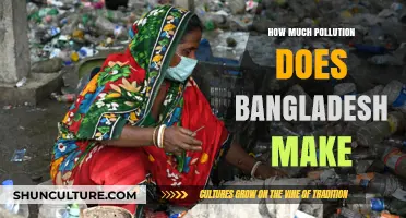 Bangladesh's Pollution Crisis: Sources, Impact, and Urgent Solutions Needed