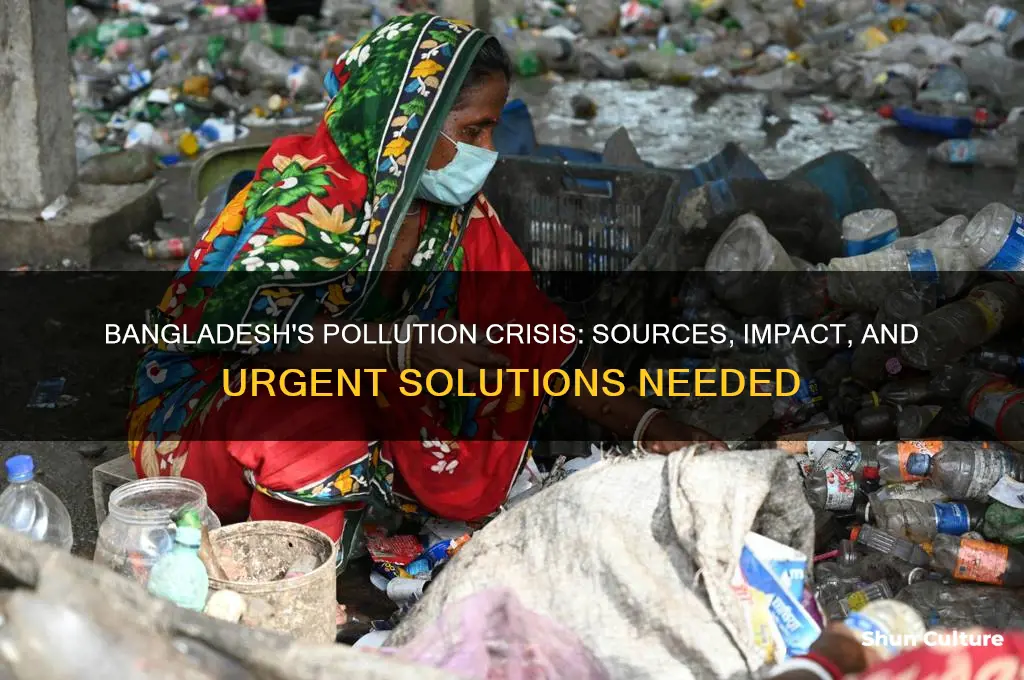 how much pollution does bangladesh make