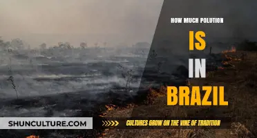 Brazil's Pollution Crisis: Unveiling the Environmental Challenges and Solutions