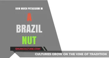 Brazil Nuts and Potassium: Uncovering the Nutritional Powerhouse Inside