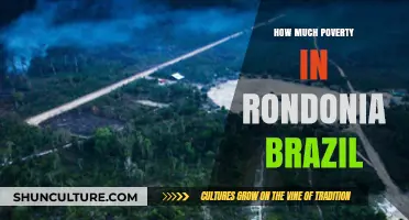 Poverty in Rondônia, Brazil: Understanding the Scope and Impact