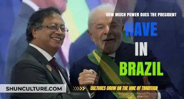 Understanding the Brazilian President's Authority and Constitutional Powers