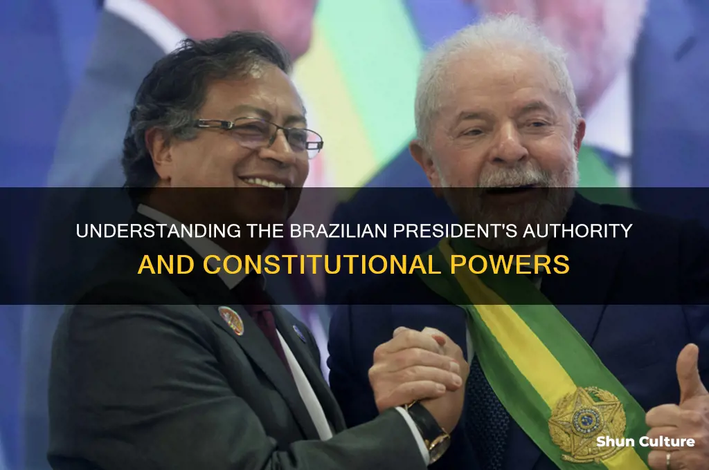 how much power does the president have in brazil