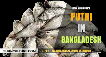Puthi Price Guide: Understanding Costs in Bangladesh's Market Today