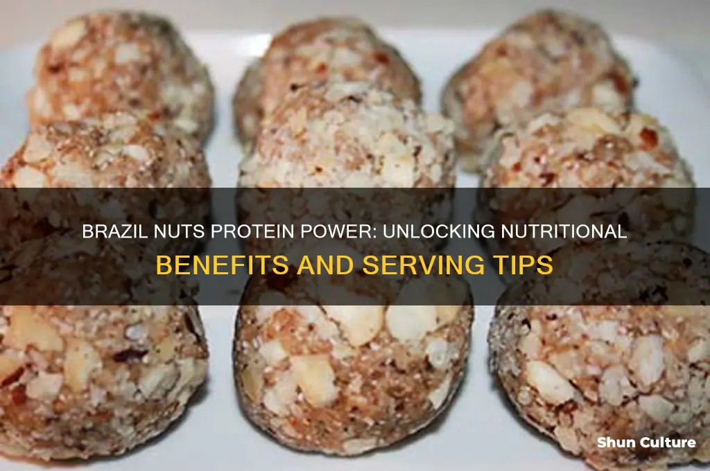 how much proteign in brazil nuts