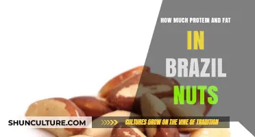 Brazil Nuts Nutrition: Unlocking Protein and Fat Content Insights