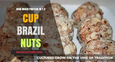 Brazil Nuts Protein Power: Unlocking Nutrition in 1/3 Cup Serving