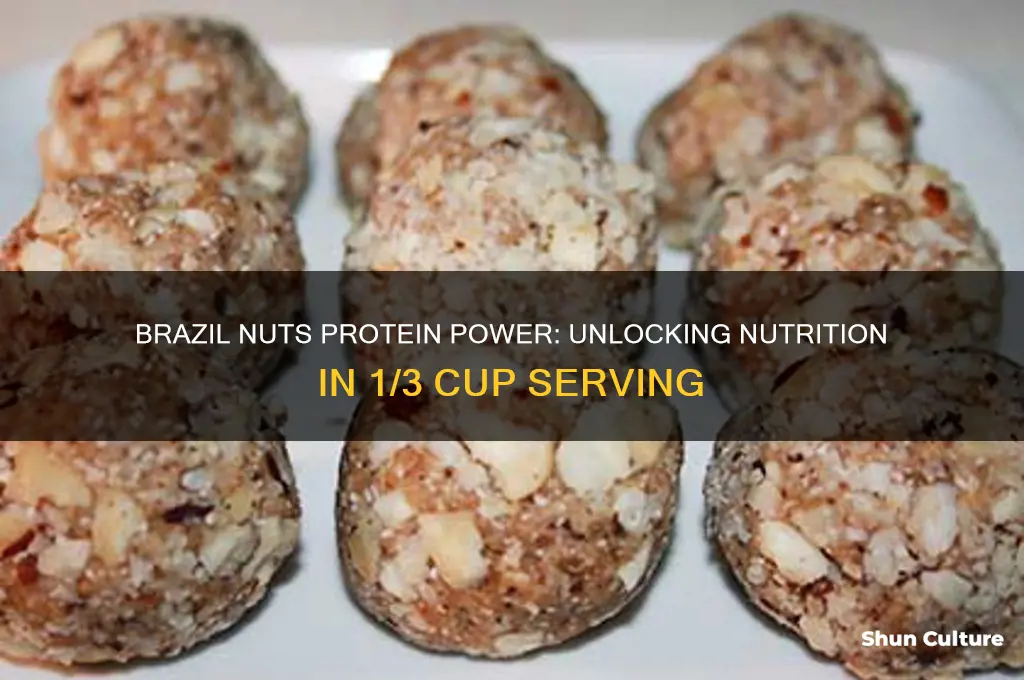 how much protein in 1 3 cup brazil nuts
