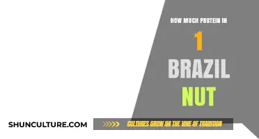Brazil Nut Protein Content: Unlocking Nutritional Value in One Nut