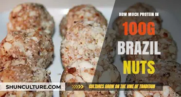 Brazil Nuts Protein Content: Unlocking Nutritional Value in 100g Serving