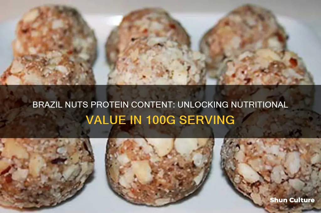 how much protein in 100g brazil nuts