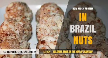 Brazil Nuts Protein Power: Unlocking Nutritional Benefits and Serving Tips