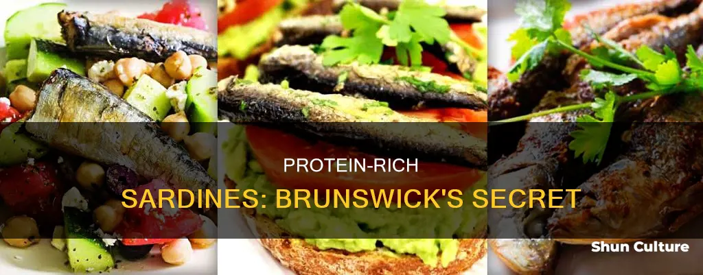 how much protein in brunswick sardines