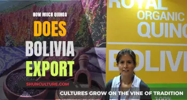 Bolivia's Quinoa: Understanding the Country's Massive Export