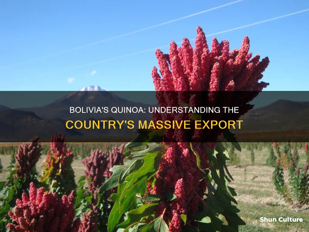 how much quinoa does bolivia export