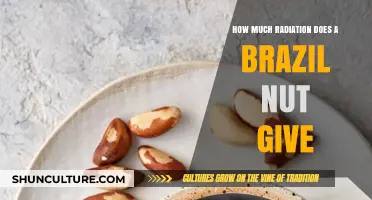 Brazil Nuts and Radiation: Understanding Their Natural Radioactive Content