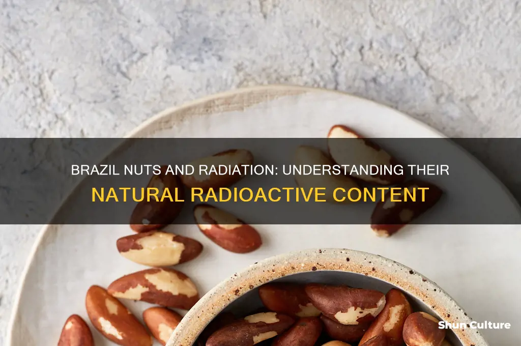how much radiation does a brazil nut give
