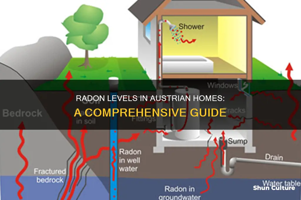 how much radon is in austrian houses