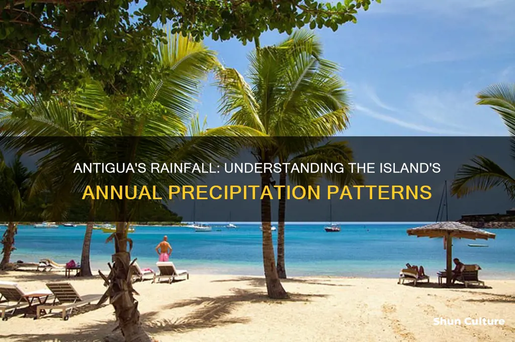 how much rain does antigua get