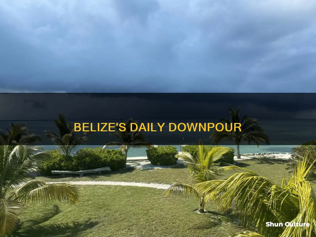 how much rain does belize get each day