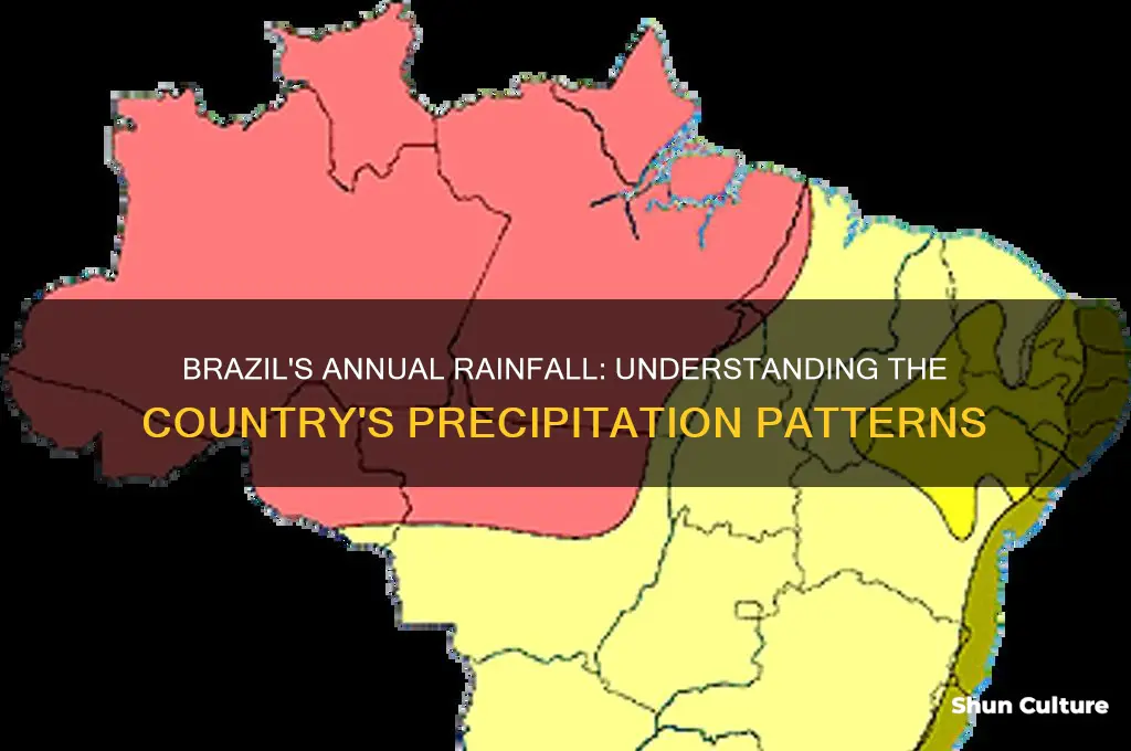 how much rain does brazil get a year
