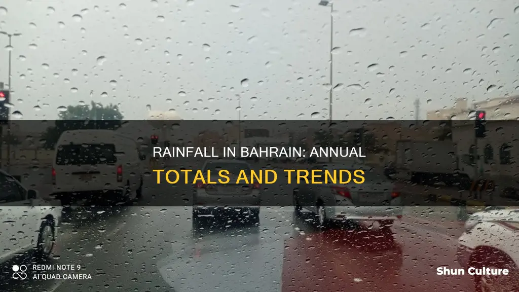 how much rain falls each year in bahrain